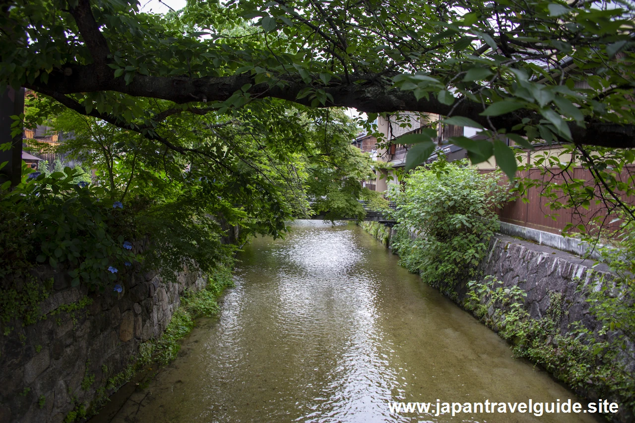 祇園白川(巽橋)：祇園の見どころ(2)