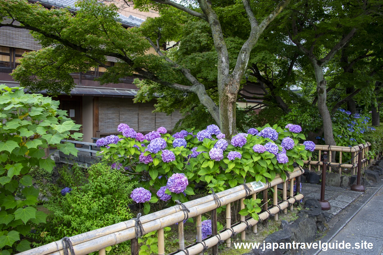 祇園白川(巽橋)：祇園の見どころ(6)