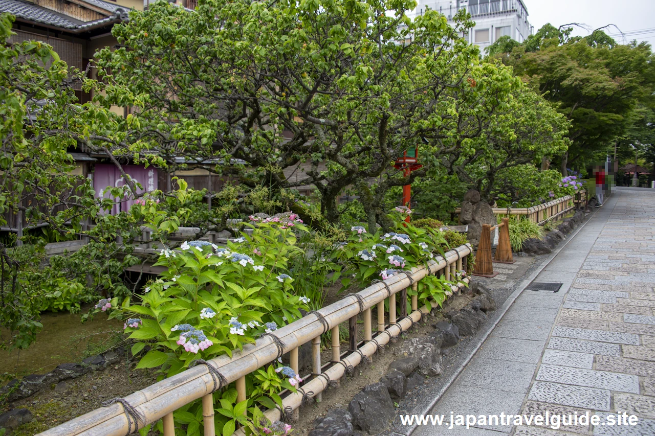 祇園白川(巽橋)：祇園の見どころ(7)