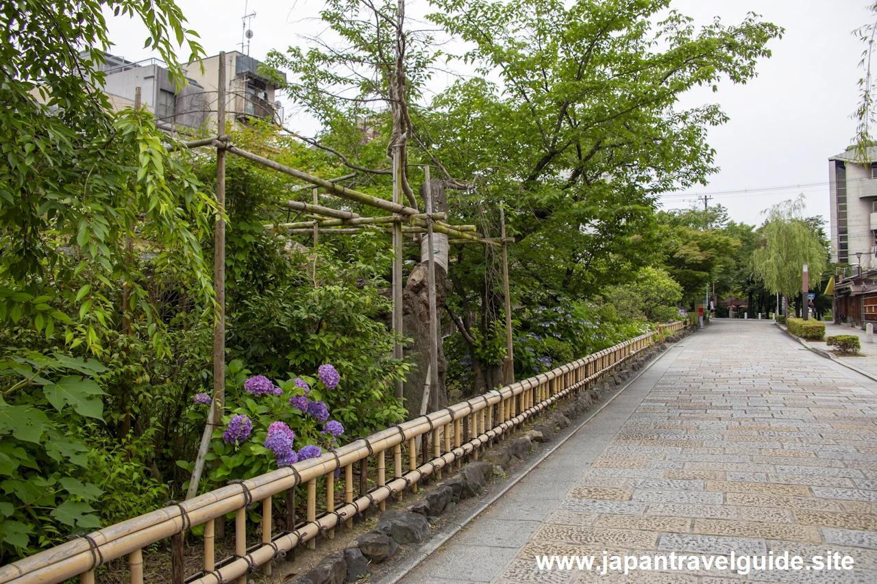 祇園白川(巽橋)：祇園の見どころ(8)