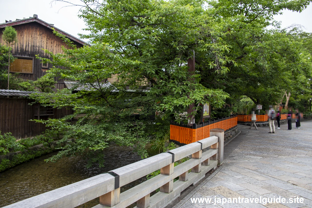 祇園白川(巽橋)：祇園の見どころ(18)