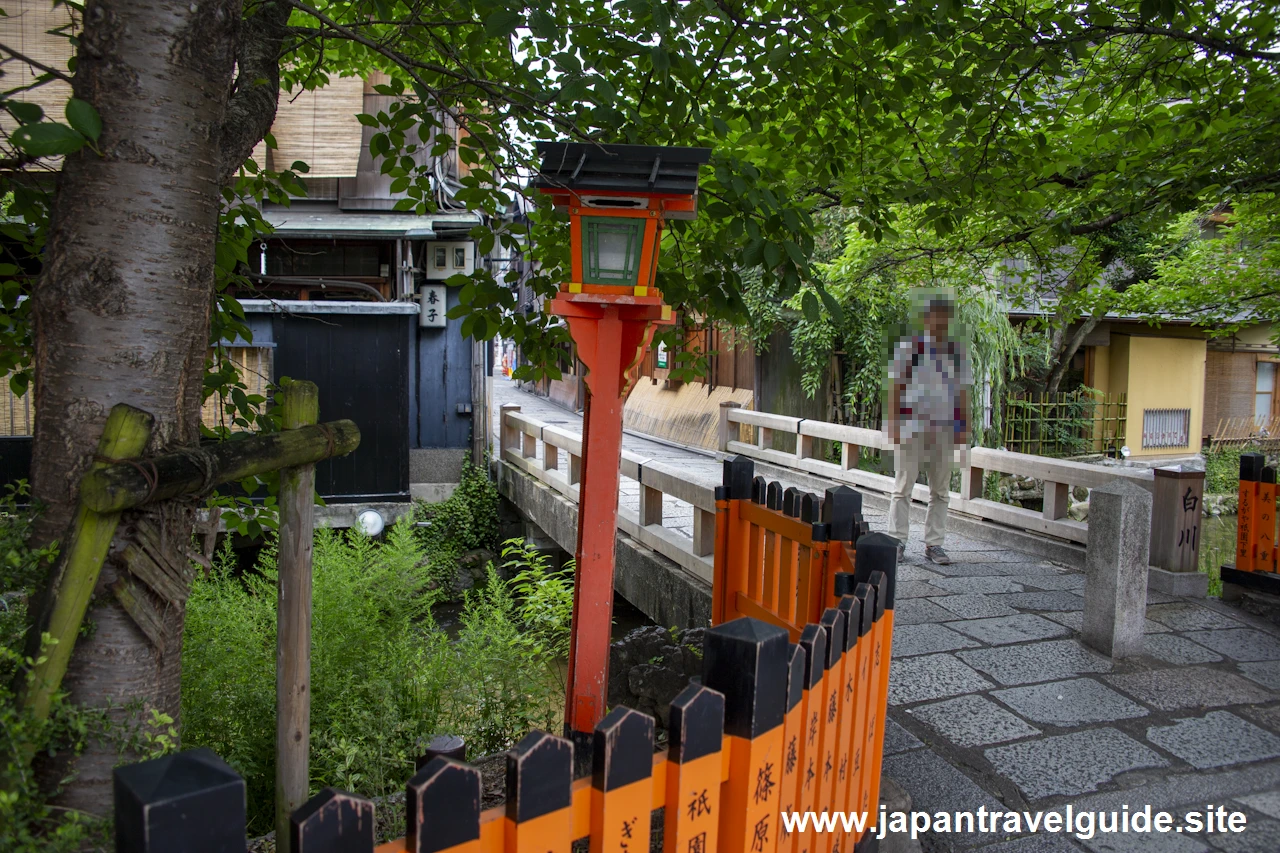 祇園白川(巽橋)：祇園の見どころ(20)