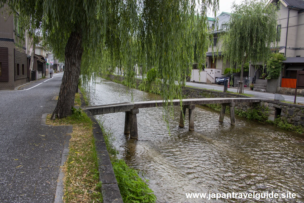 祇園白川(一本橋)：祇園の見どころ(31)