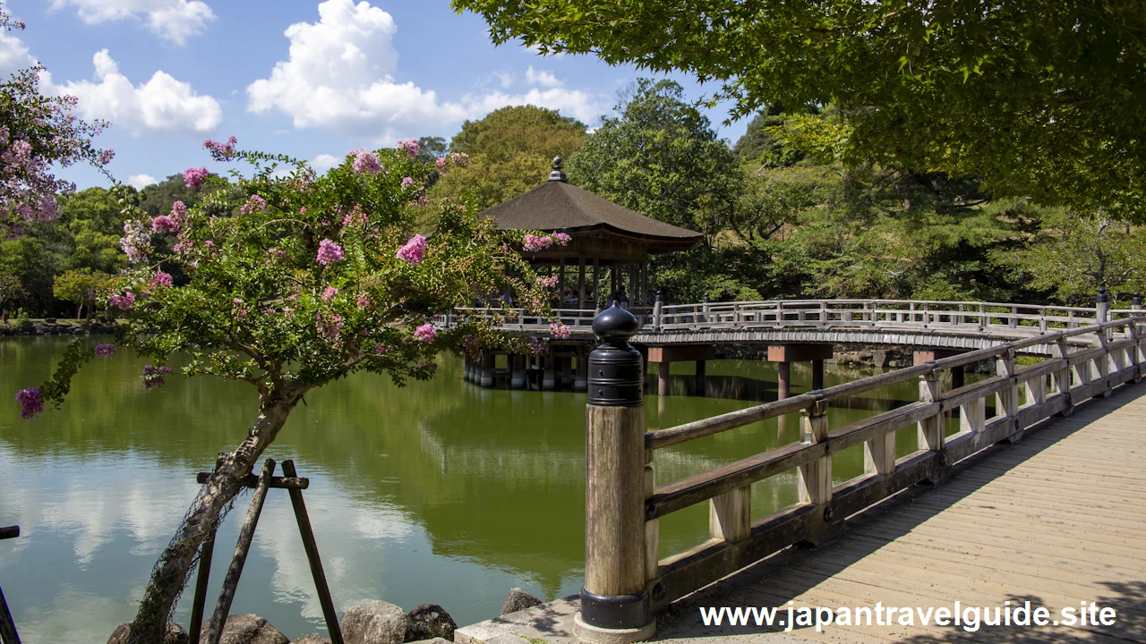 浮見堂：奈良公園の見どころ(3)