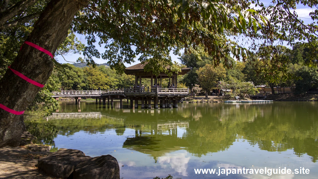 浮見堂：奈良公園の見どころ(5)