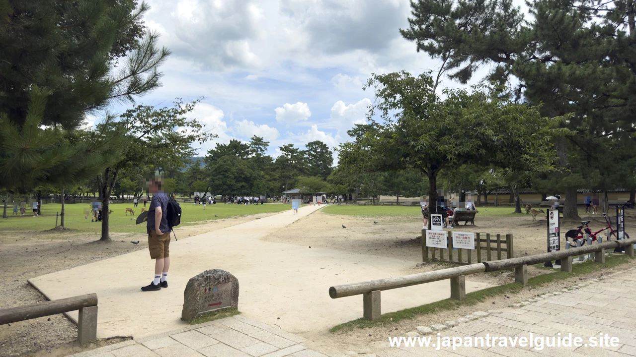 登大路園地：奈良公園の見どころ(1)