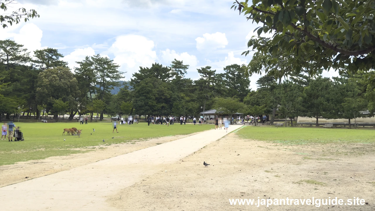 登大路園地：奈良公園の見どころ(2)