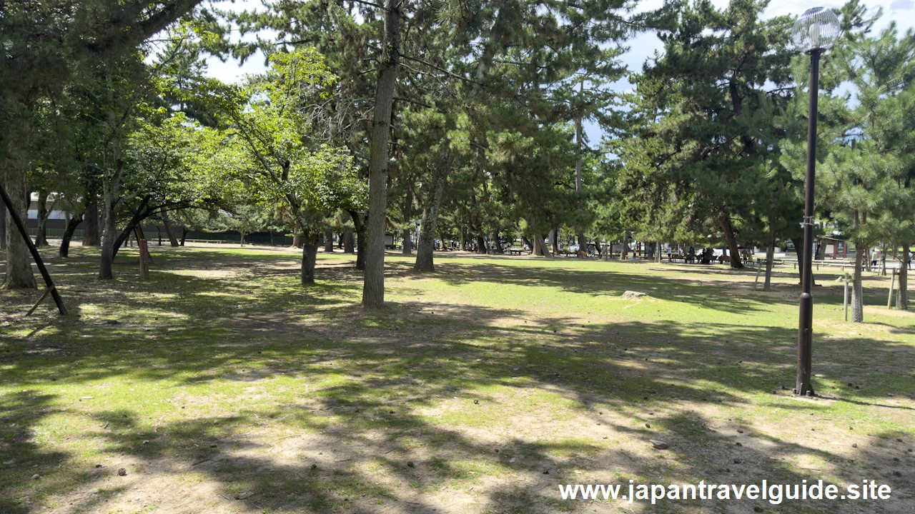 登大路園地：奈良公園の見どころ(3)