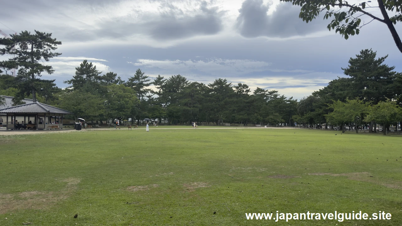 登大路園地：奈良公園の見どころ(4)