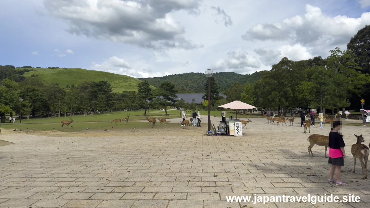 浮雲園地：奈良公園の見どころ(2)