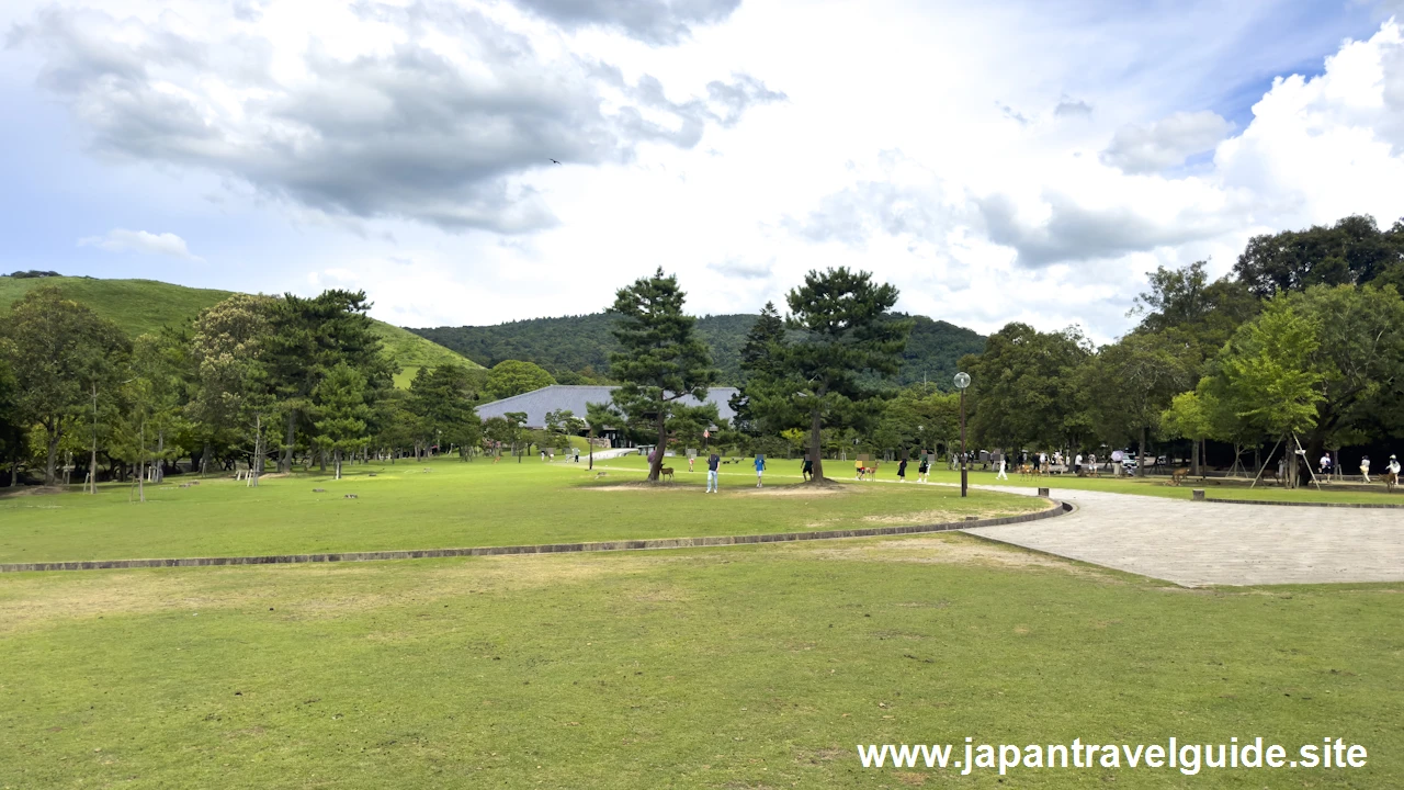 浮雲園地：奈良公園の見どころ(4)