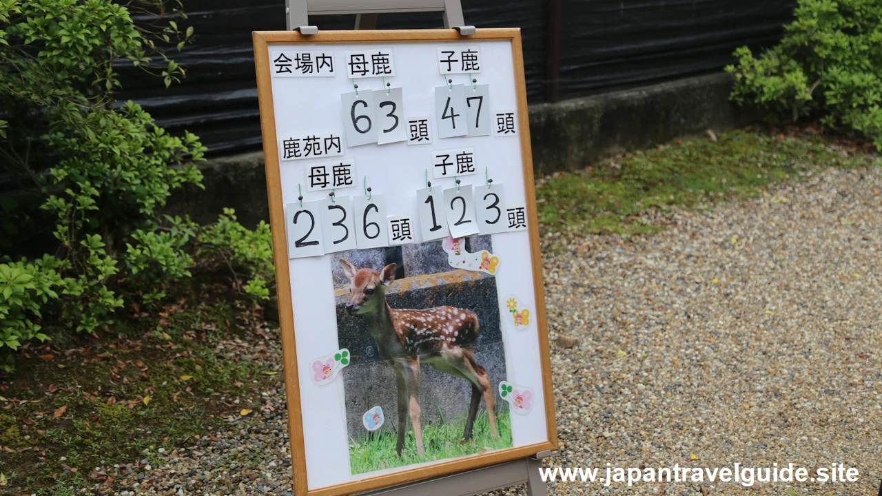 鹿苑(小鹿公開)：奈良公園の見どころ(1)
