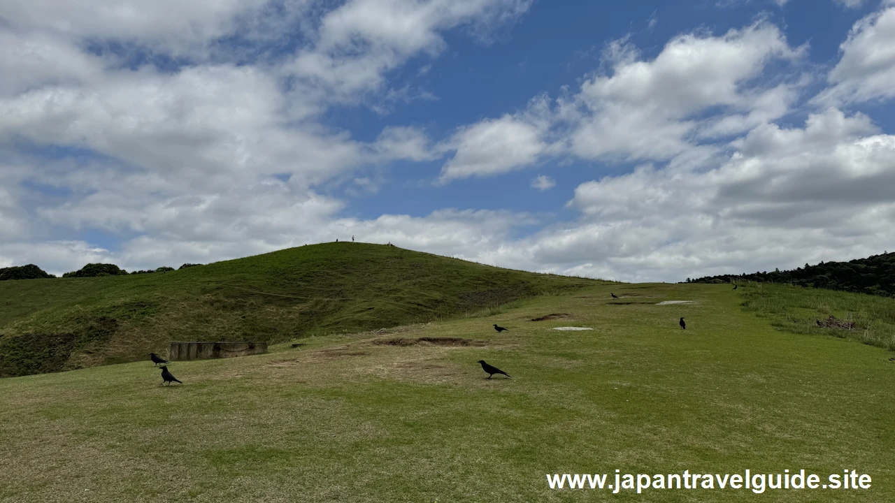 若草山の登山方法(11)