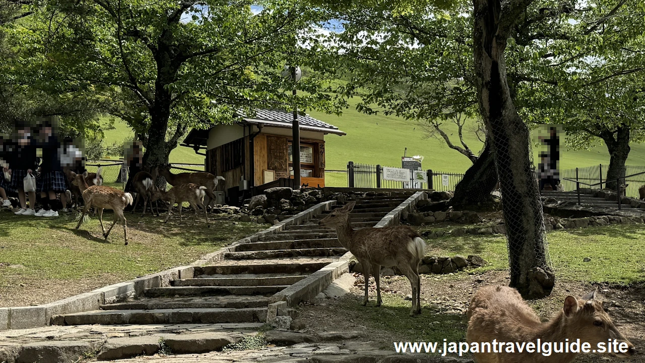 若草山の登山方法(2)