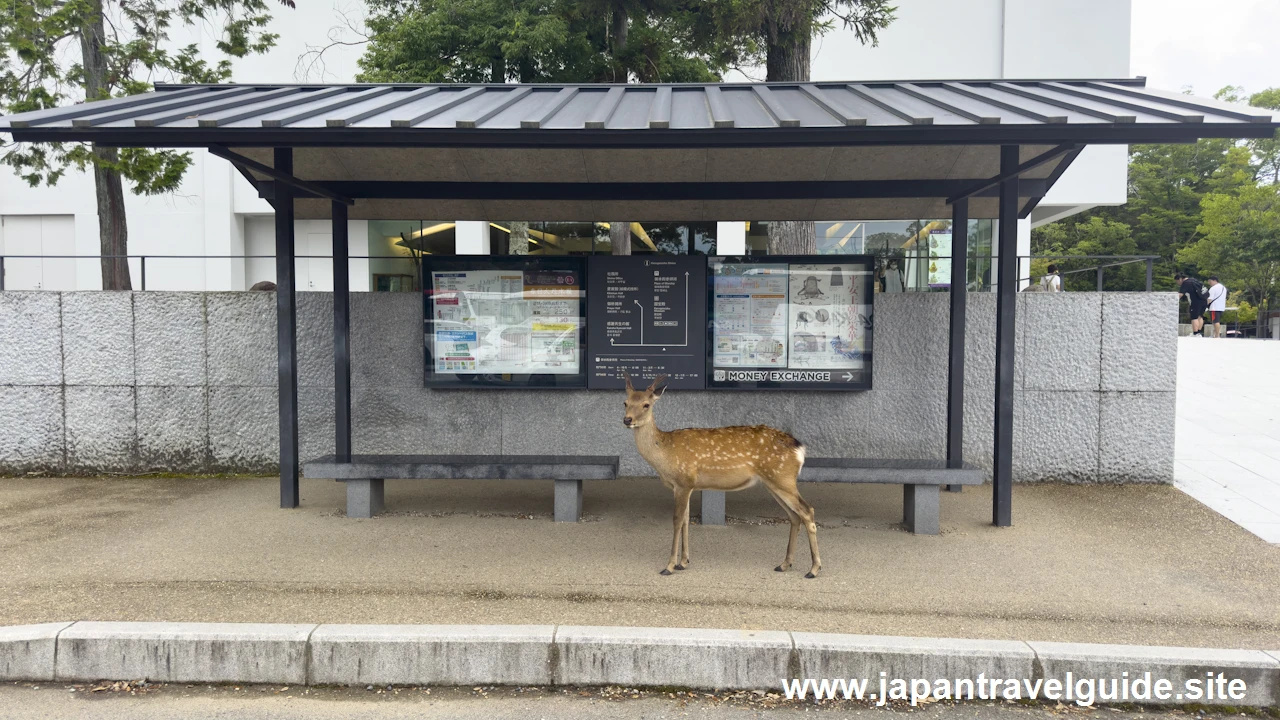 春日大社の駐車場の場所(12)