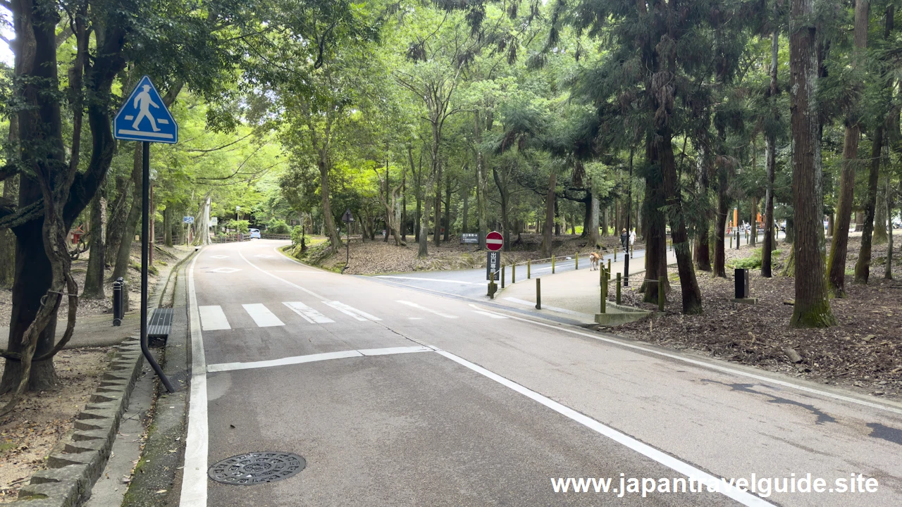 春日大社の駐車場の場所(5)