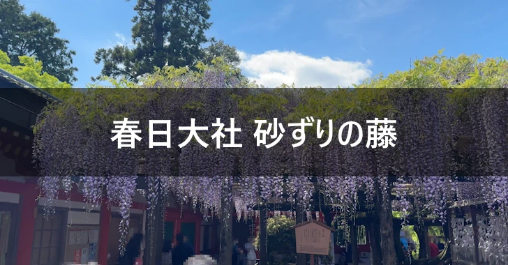 砂ずりの藤(春日大社)の見どころ完全ガイ(0)