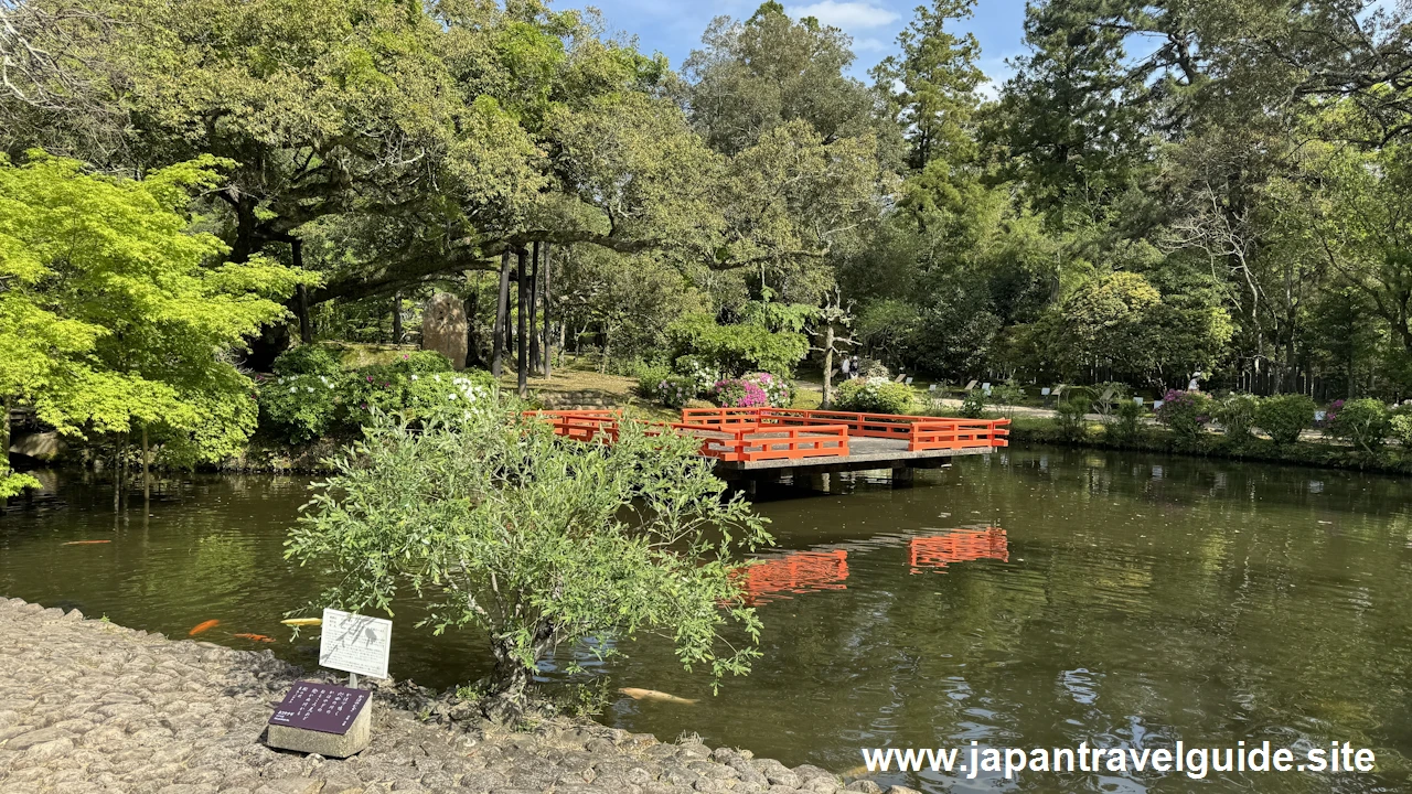 萬葉植物園の藤の園(4)