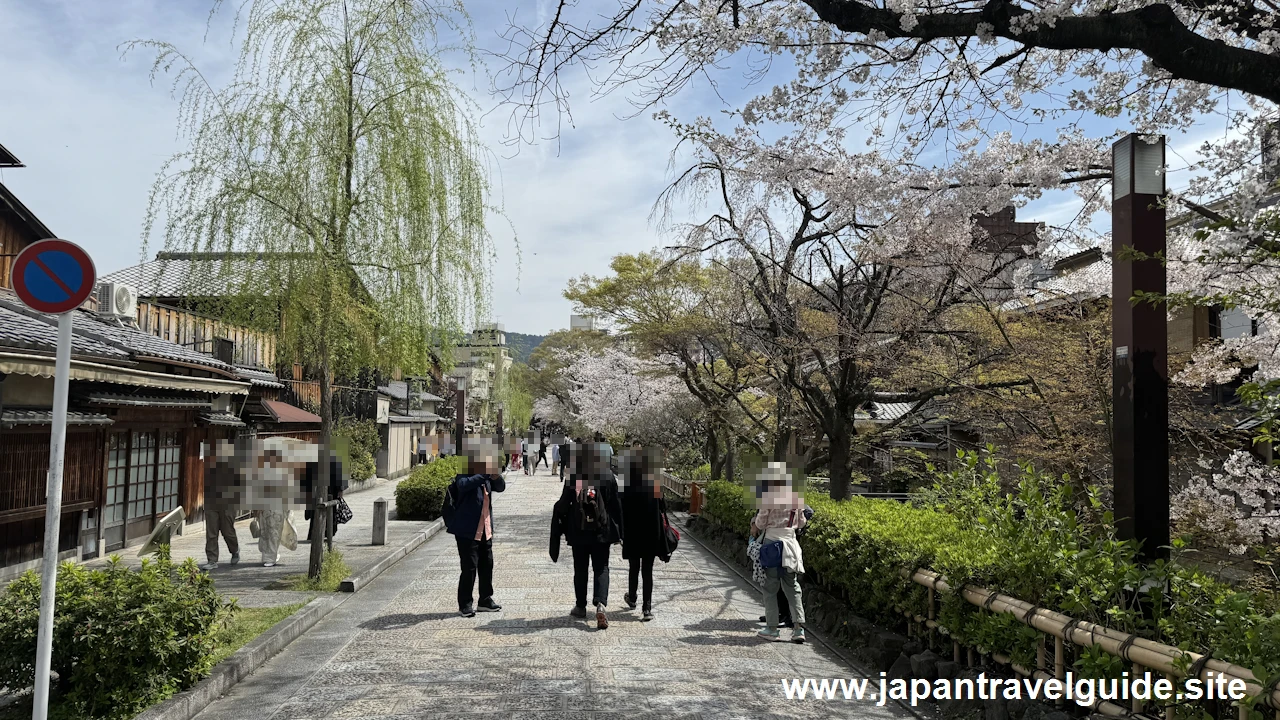 祇園白川の大和橋から巽橋の桜(32)