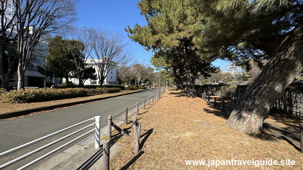 Road North of Ninomaru Intersection(2)