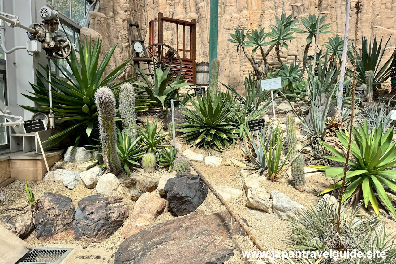 温室：東山動植物園の見どころ(10)