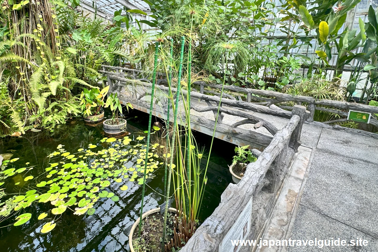 温室：東山動植物園の見どころ(11)