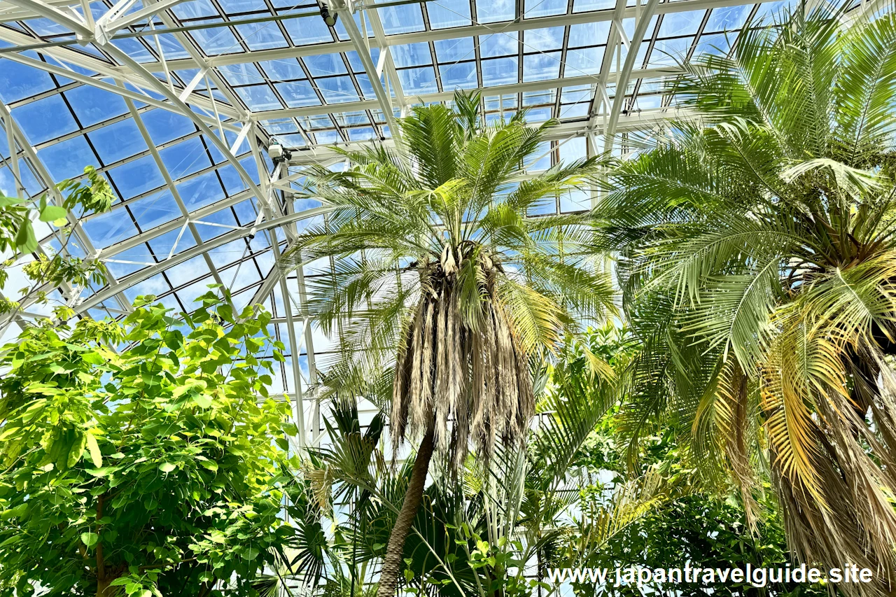 温室：東山動植物園の見どころ(3)