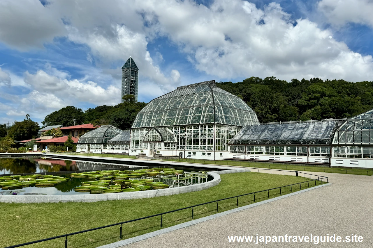 植物園の中の温室の場所(9)