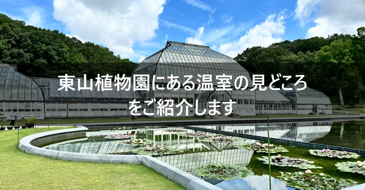 東山植物園の温室(0)