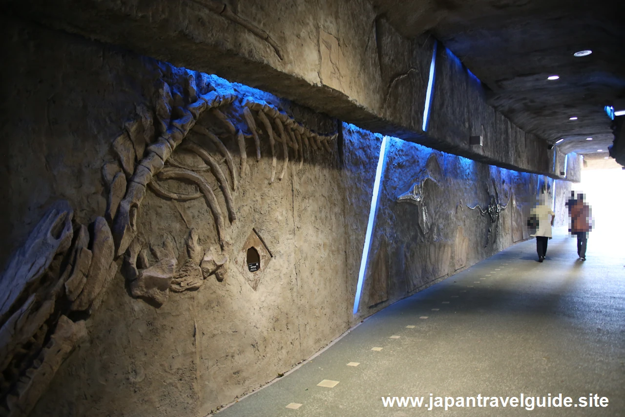 東山植物園の行き方(10)