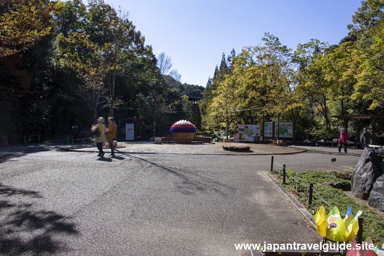 東山植物園の行き方(11)