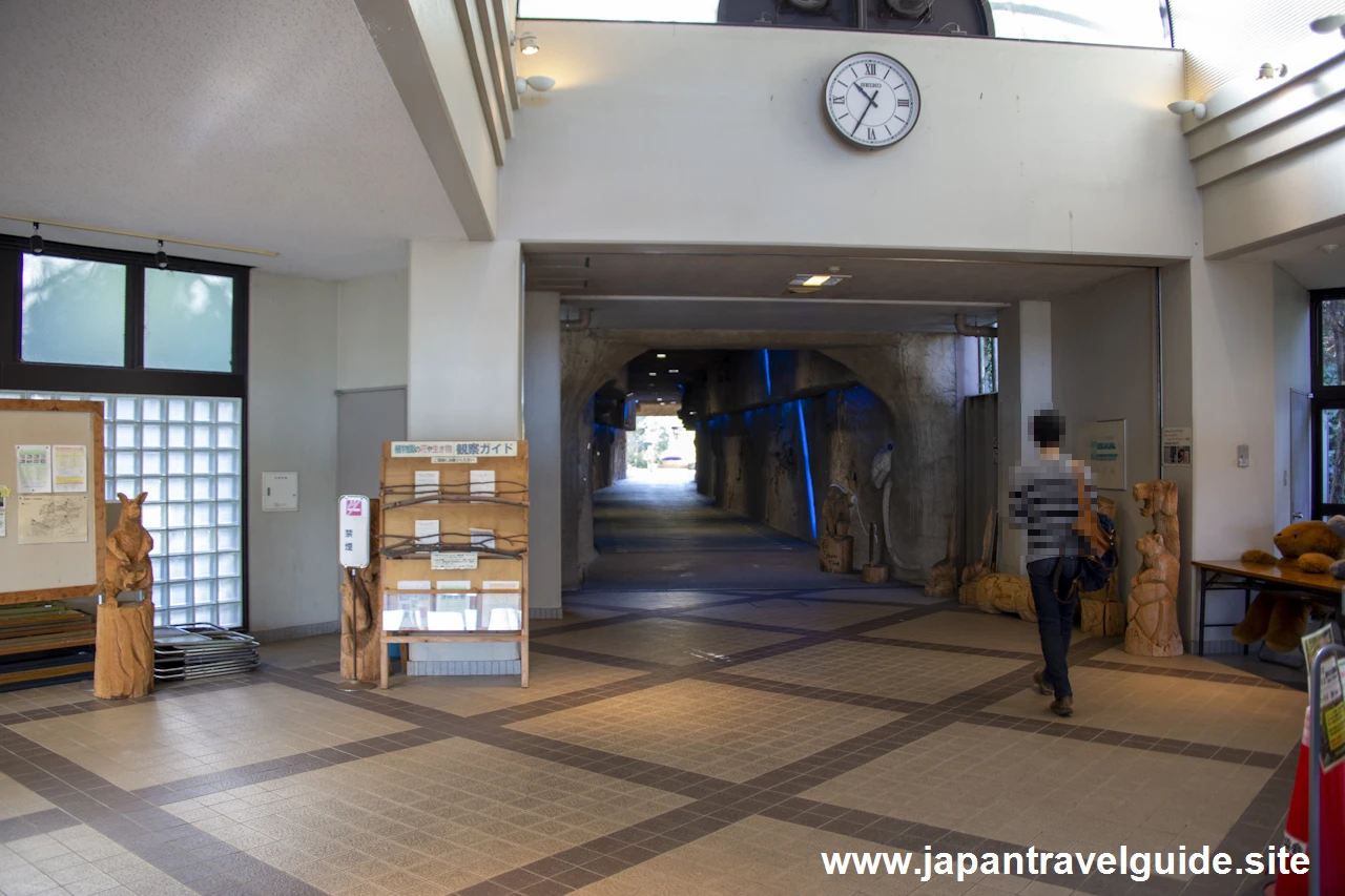 東山植物園の行き方(8)