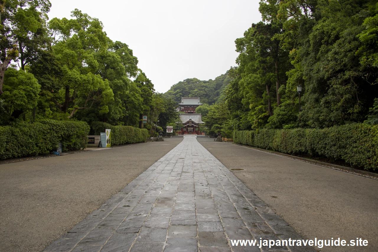 鶴岡八幡宮(10)