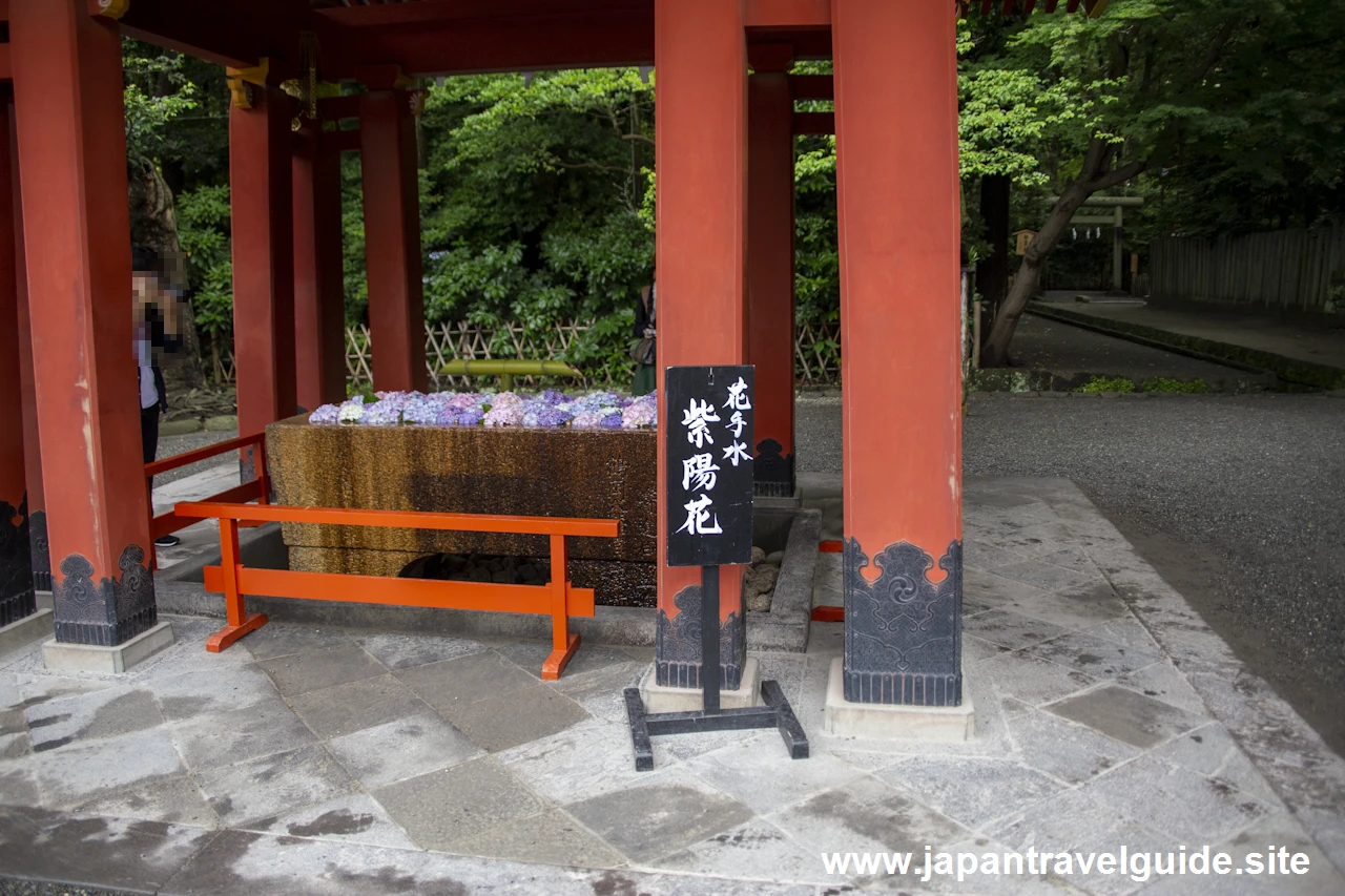 鶴岡八幡宮(11)