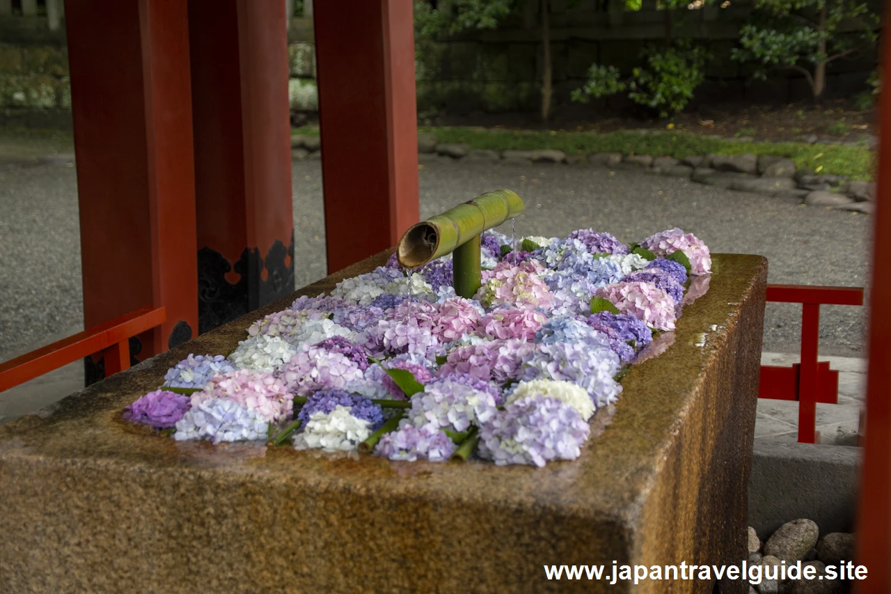 鶴岡八幡宮(12)