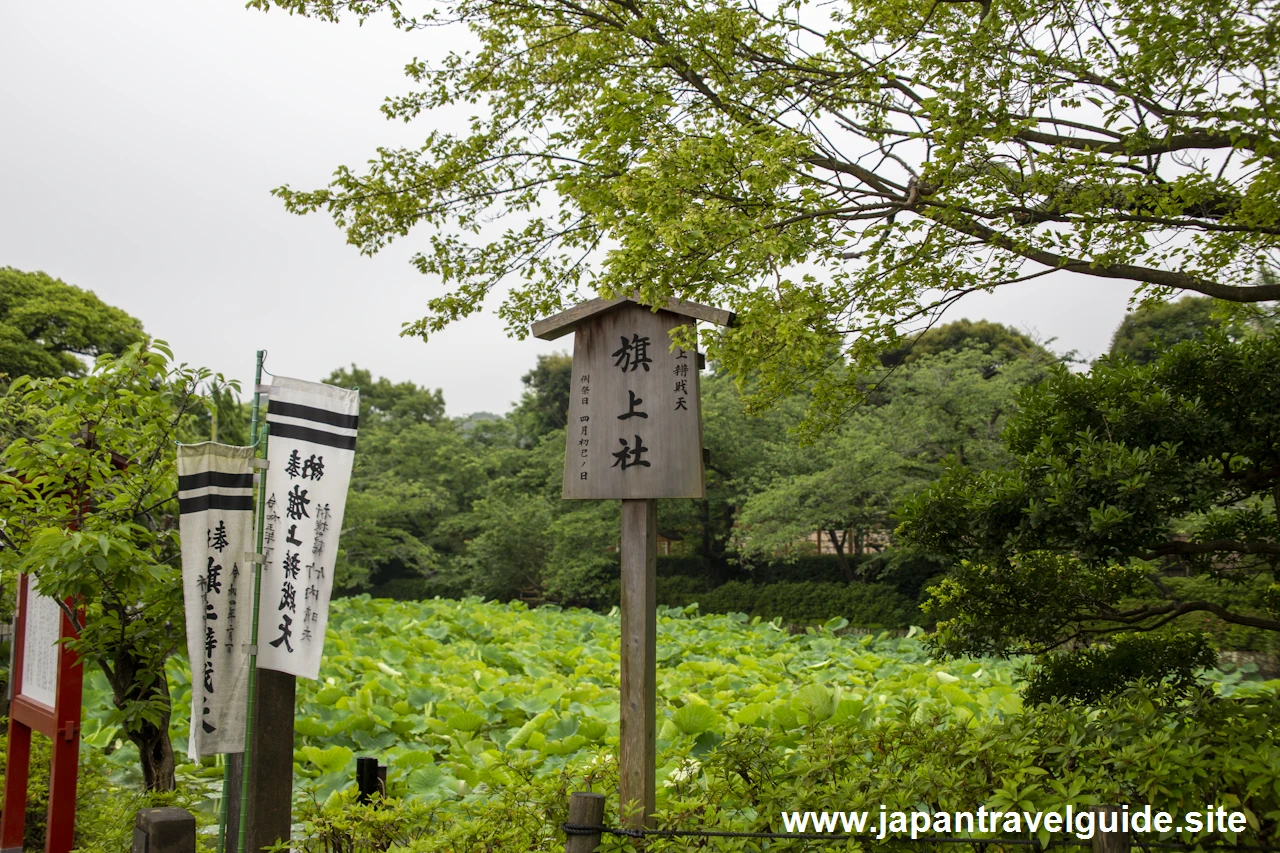 鶴岡八幡宮(5)