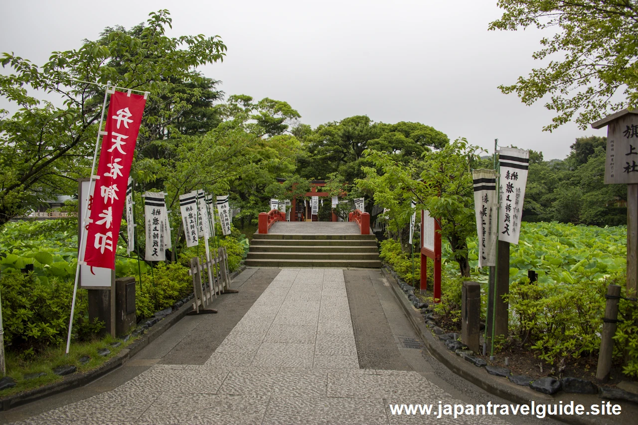 鶴岡八幡宮(6)