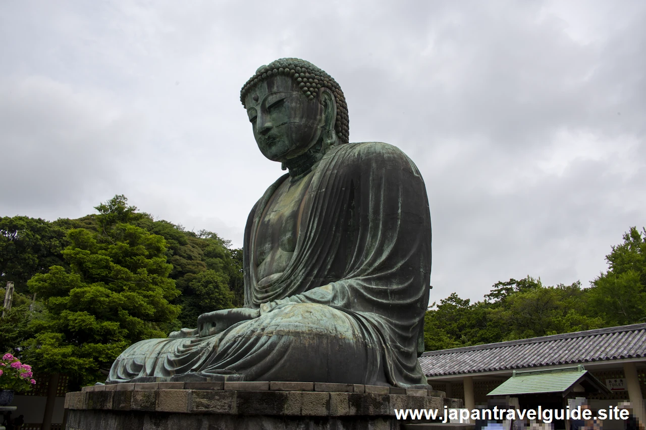 鎌倉大仏殿高徳院(7)