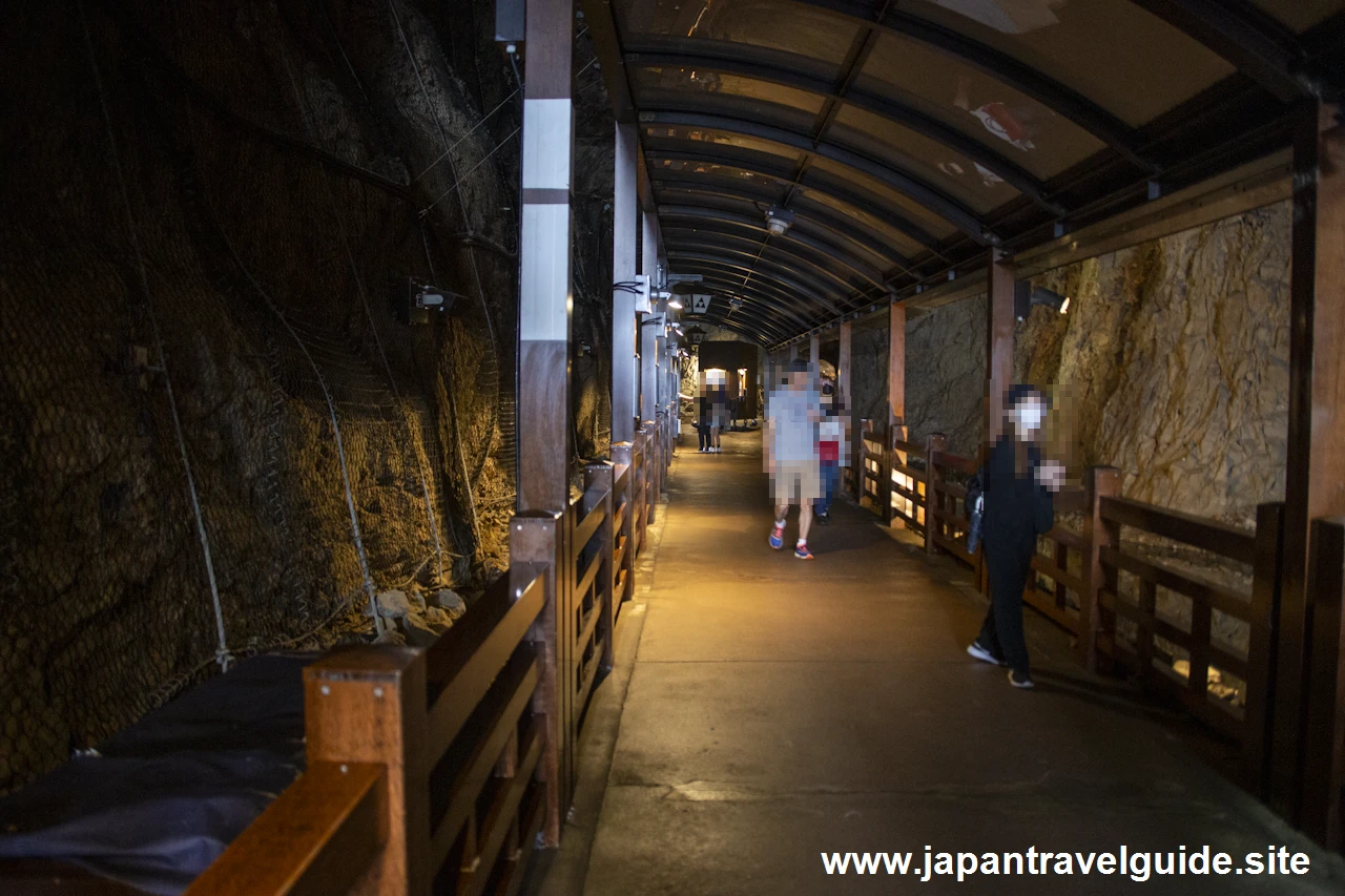 江の島岩屋(6)