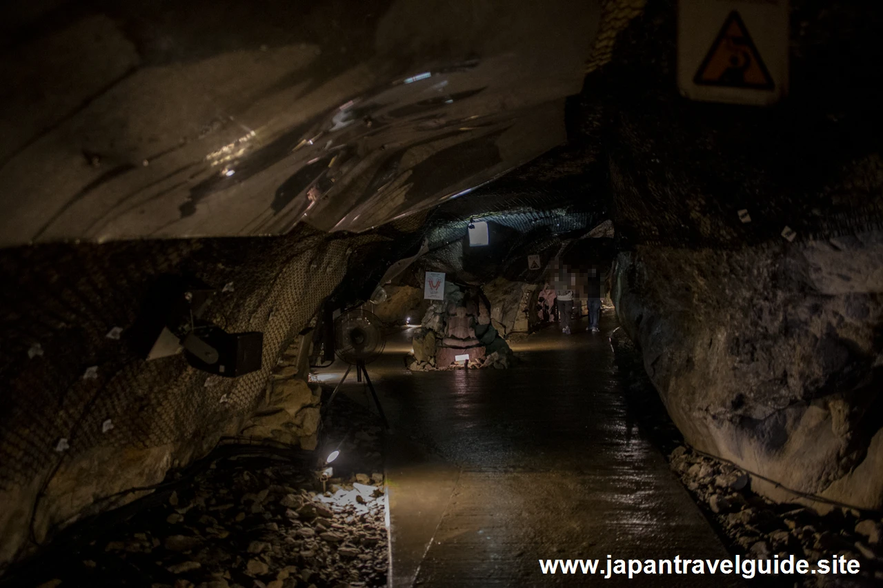 江の島岩屋(10)