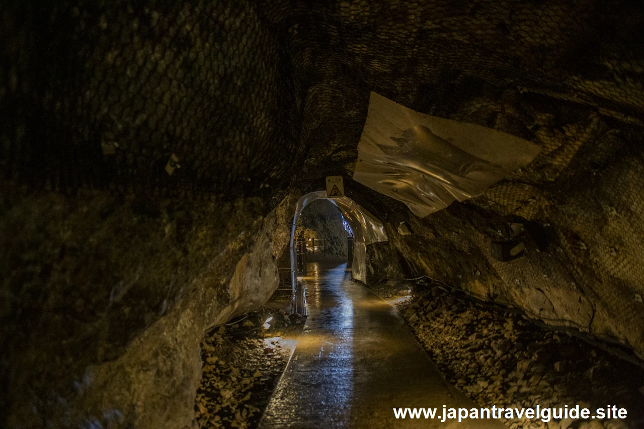 江の島岩屋(15)