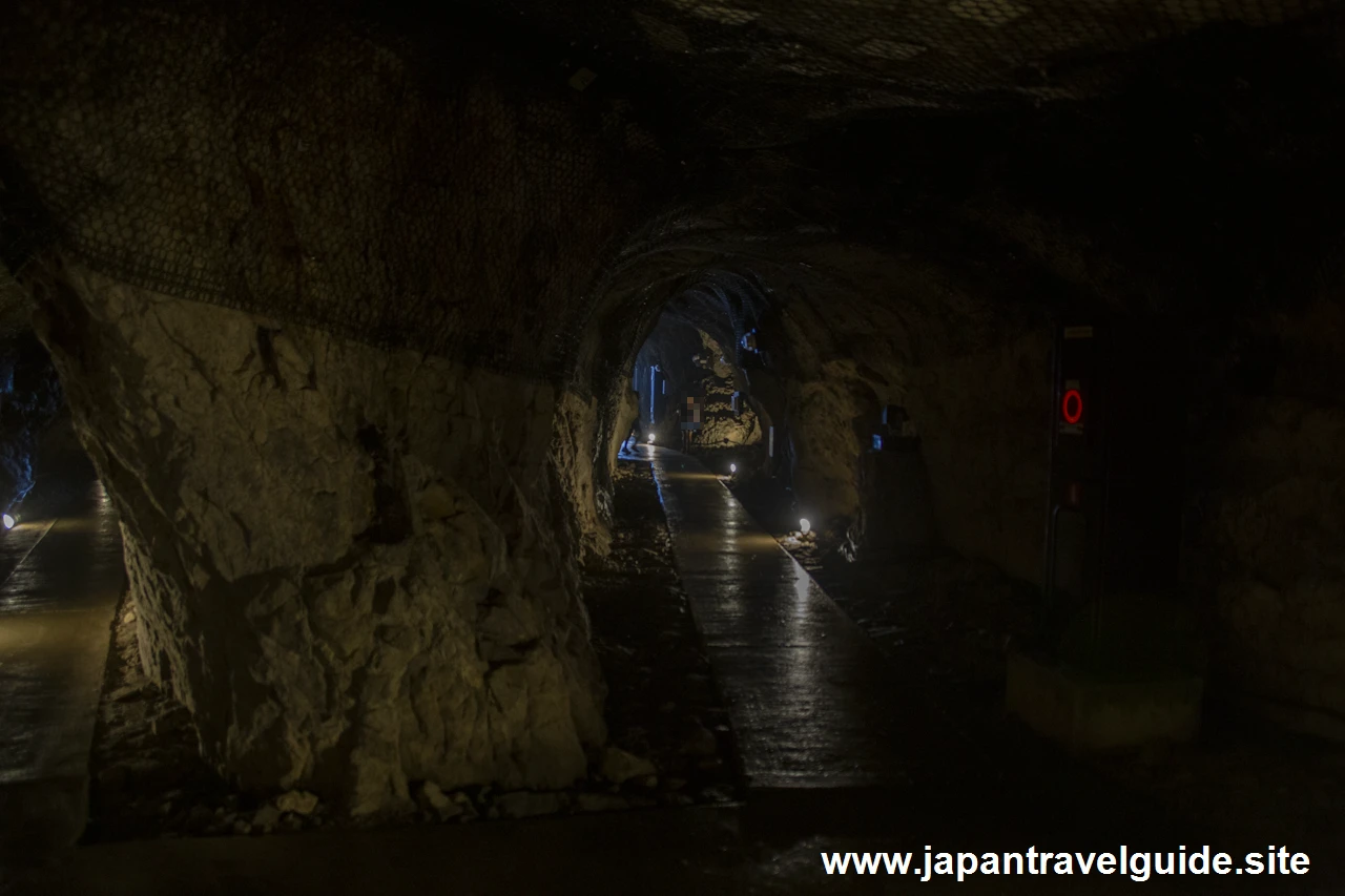 江の島岩屋(22)