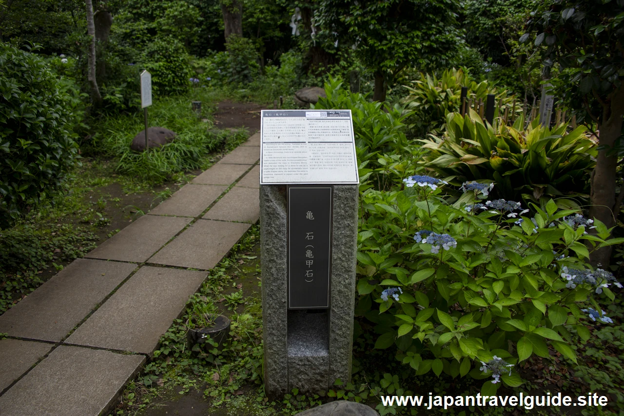 江島神社(奥津宮)(7)