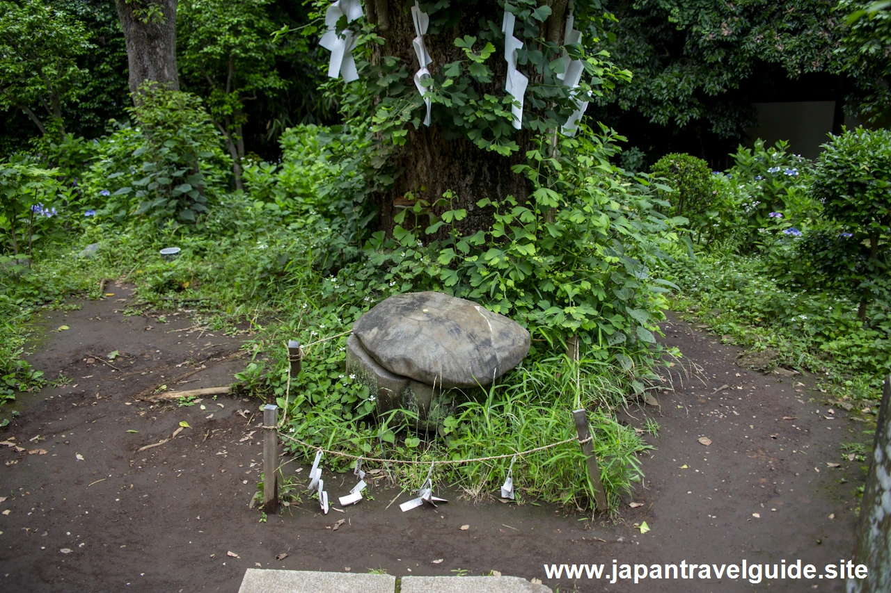 江島神社(奥津宮)(8)