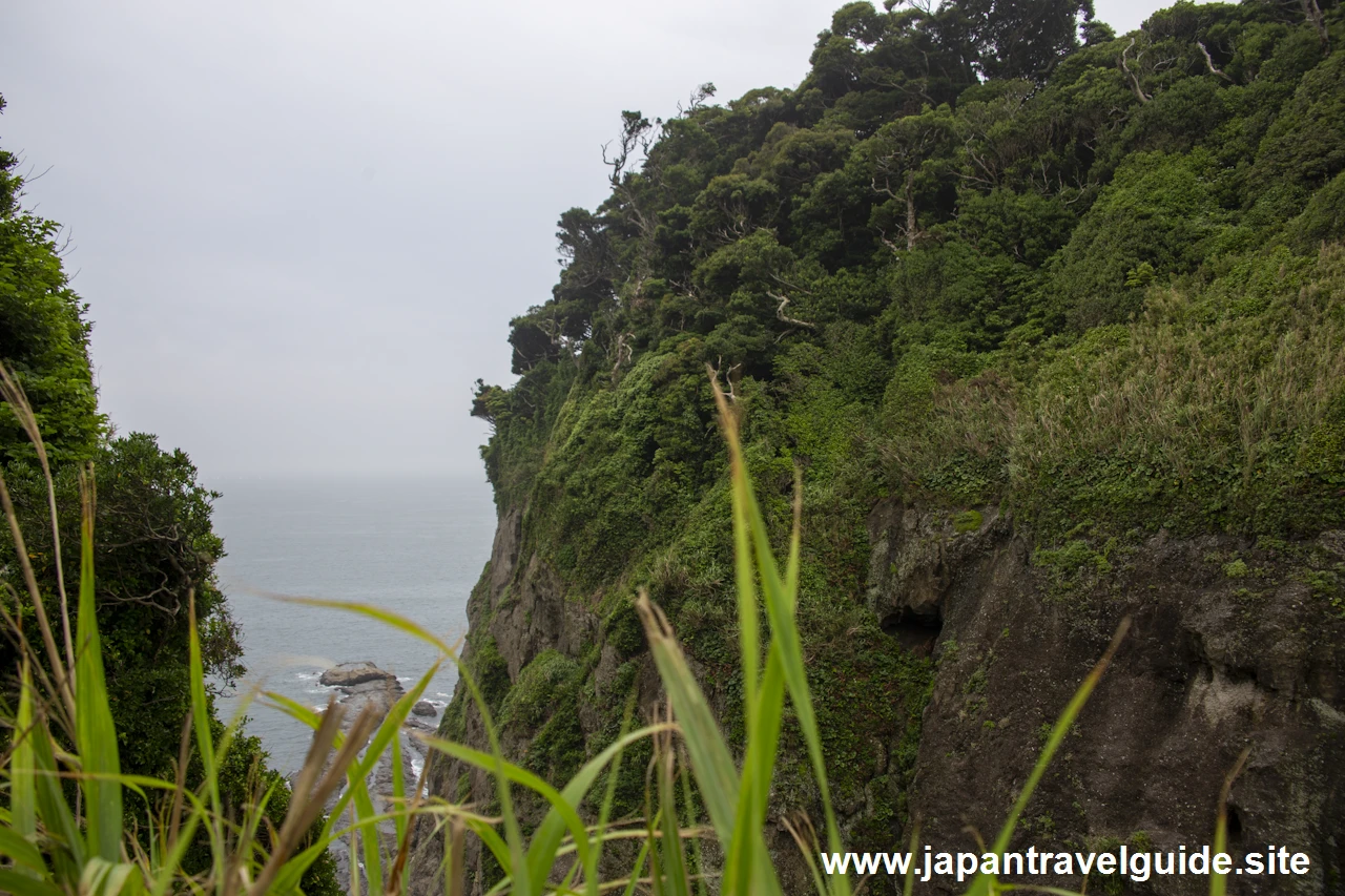 江の島サムエル・コッキング苑(5)