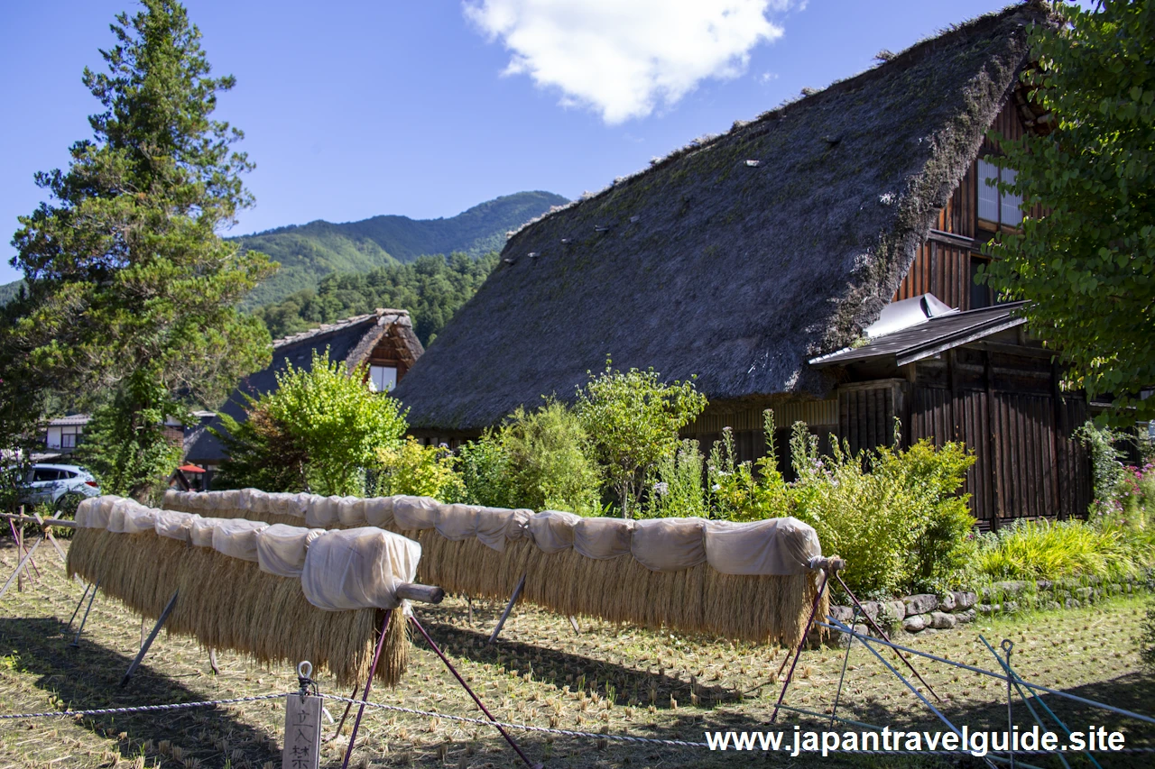 白川郷の景観：白川郷の見どころ(5)