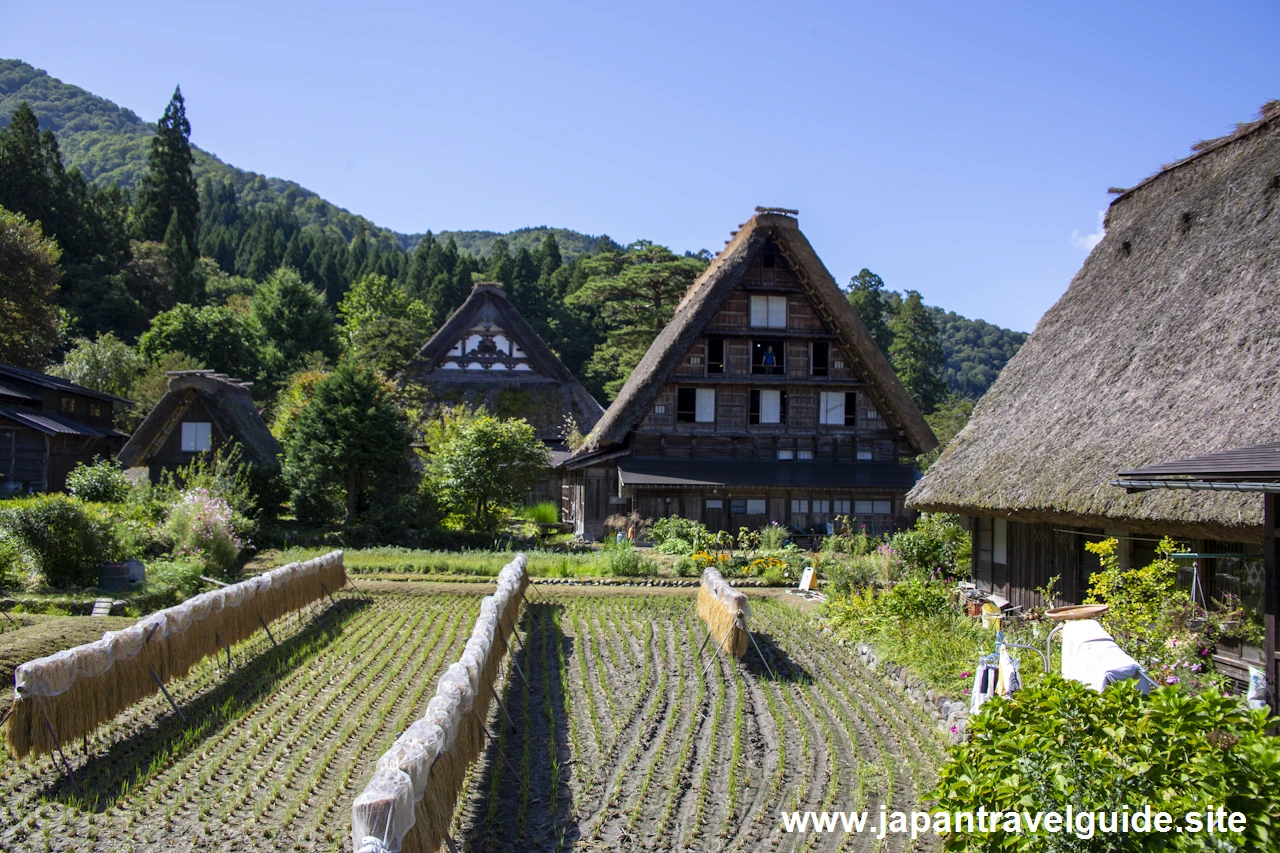 白川郷の景観：白川郷の見どころ(6)