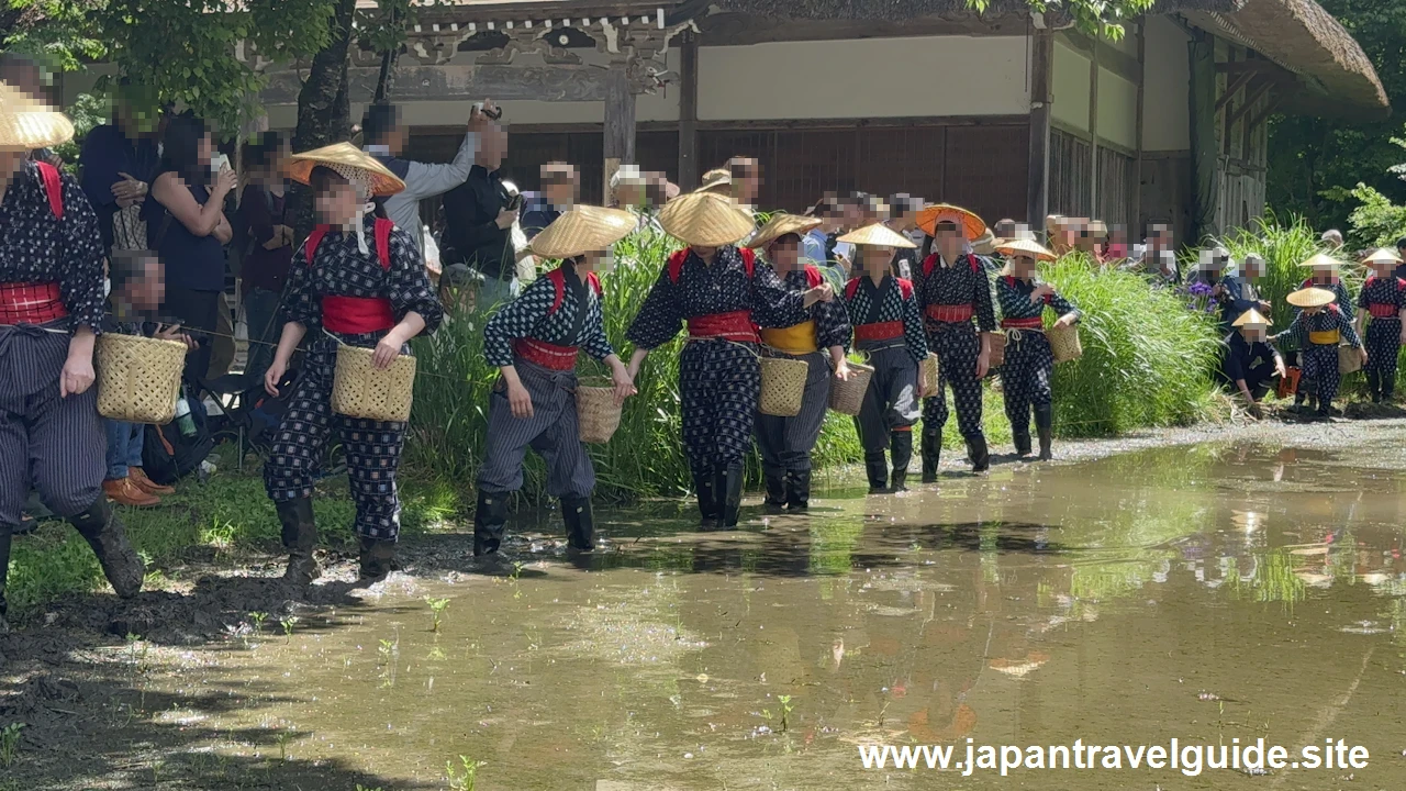 白川郷田植え祭り：白川郷の見どころ(2)