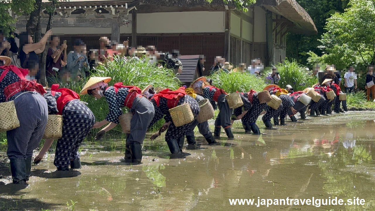 白川郷田植え祭り：白川郷の見どころ(3)