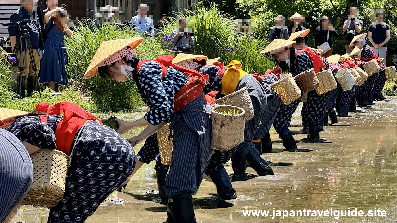 白川郷田植え祭り：白川郷の見どころ(4)